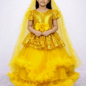 Party Princess Frock D2 Single pic